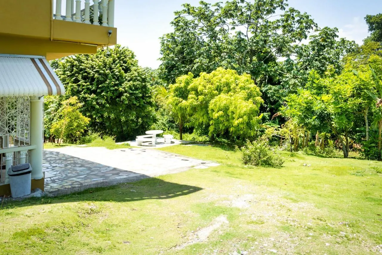 Guest house Cozy Locale - Gold Hotel Port Antonio